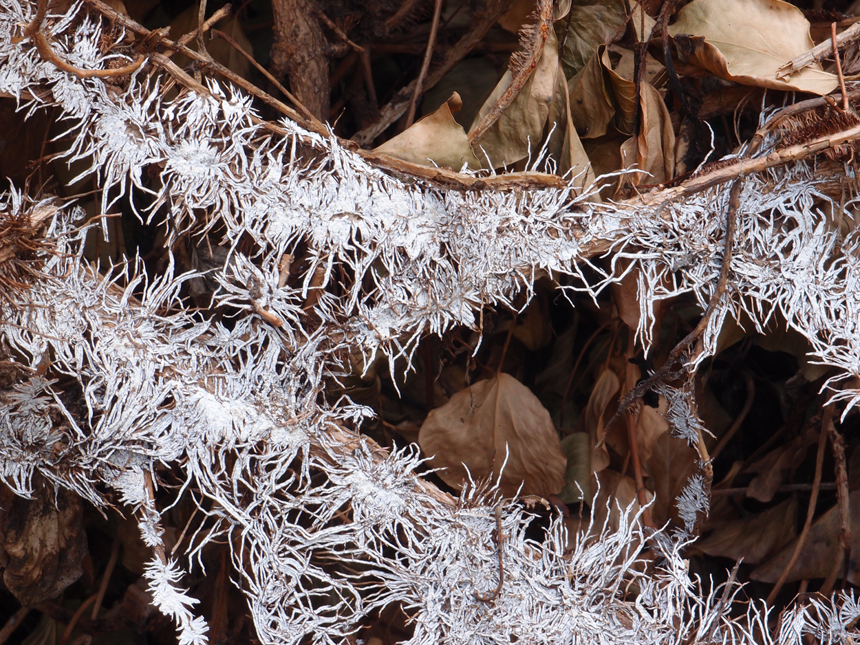 2019-07-21 foto-grafisches Statement I